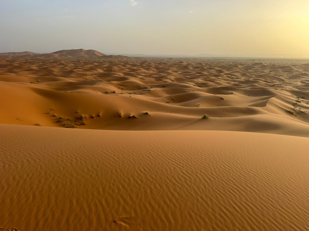 Morocco Hire Car & Private Driver-Marrakech-Safi必去景点