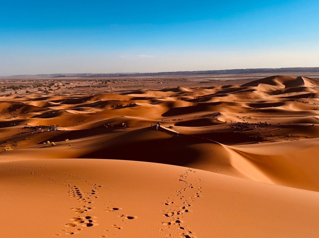 Viagem Marrakech-马拉喀什必去景点