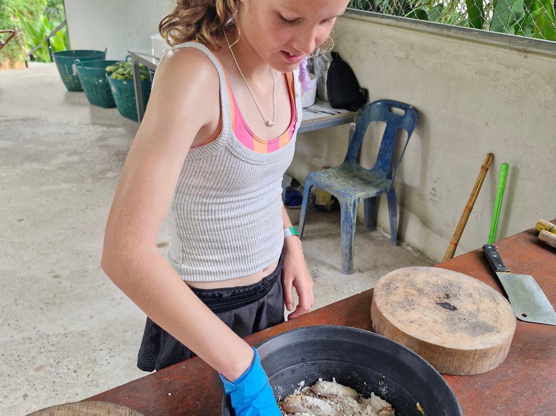 Phuket Elephant Care-奈通必去景点