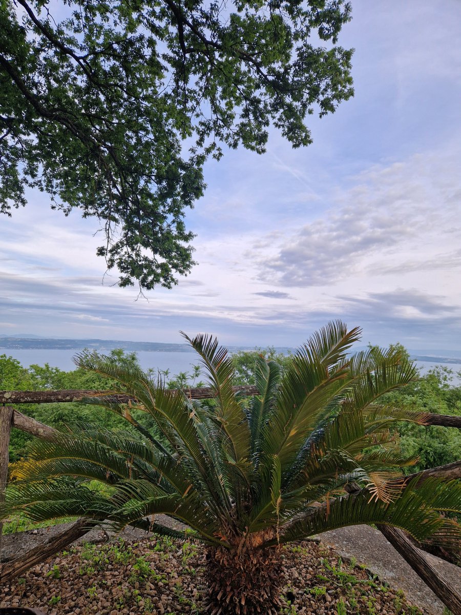 La Montagnola Retreat-旅行者