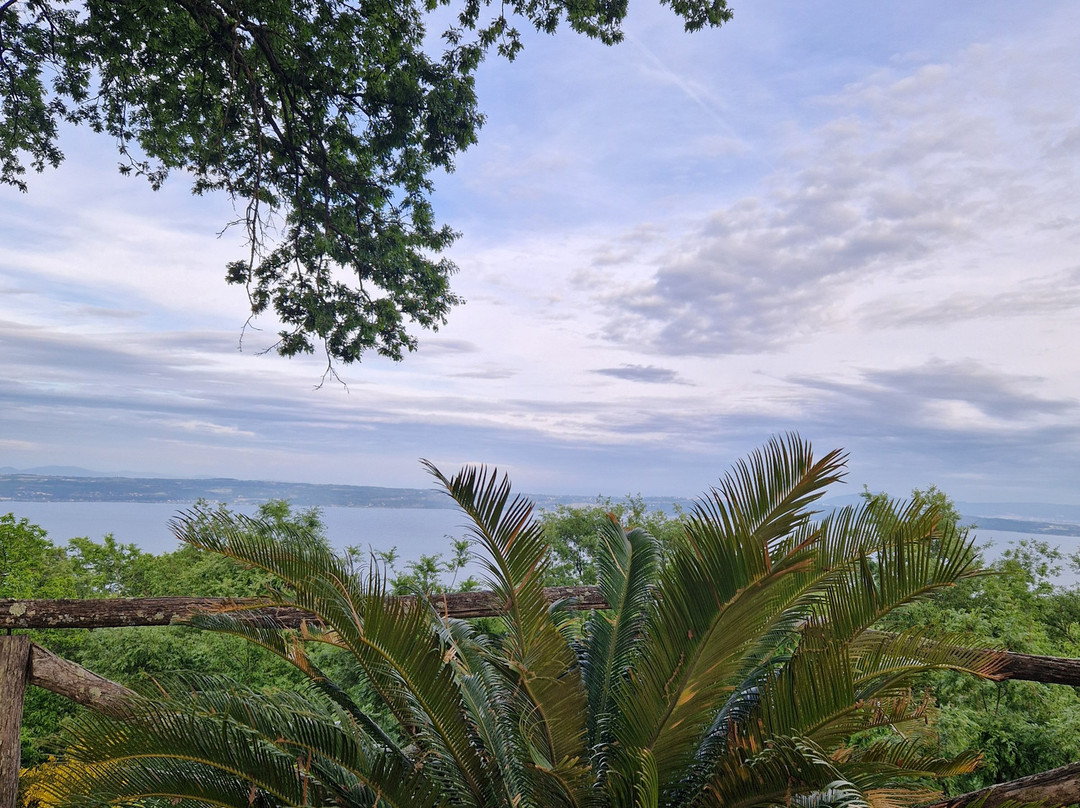 La Montagnola Retreat主图