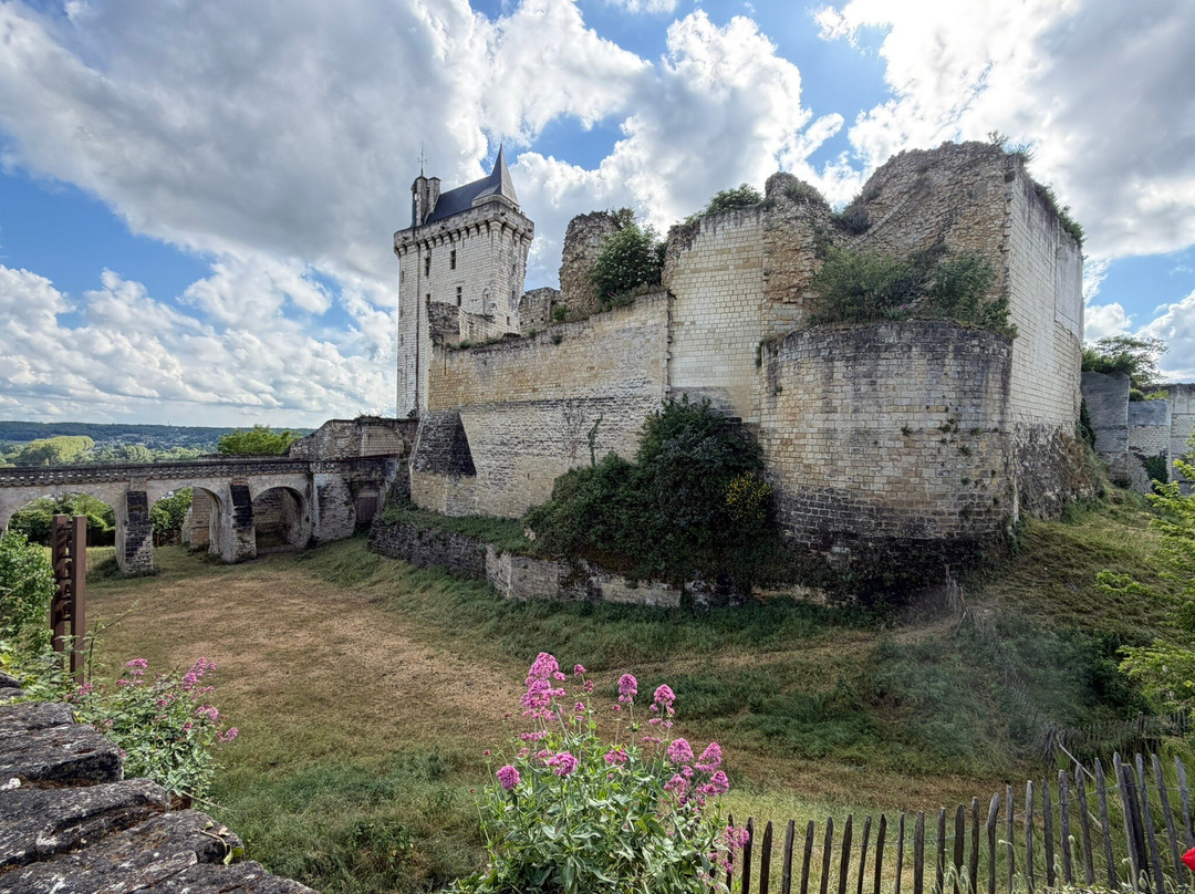 Forteresse Royale De Chinon-希农必去景点