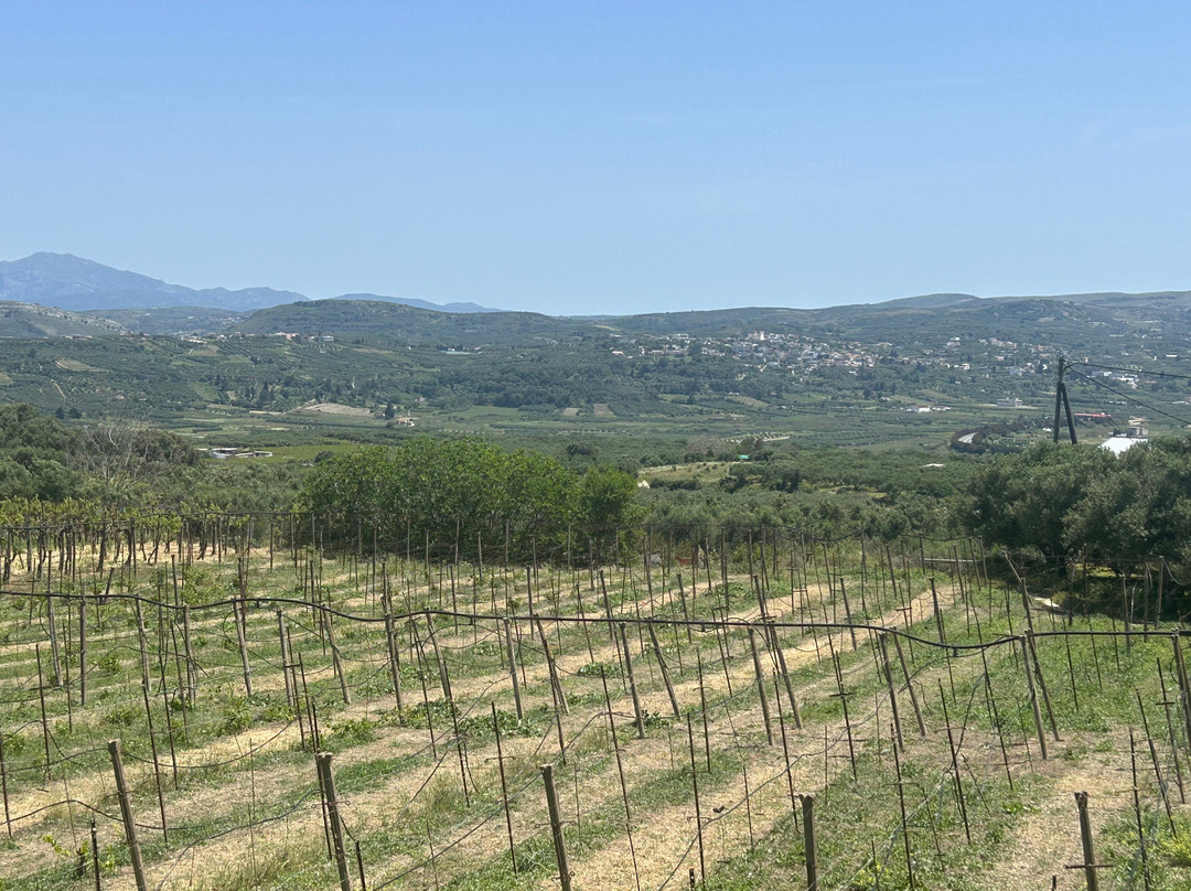 Winery Stilianou-Archanes必去景点