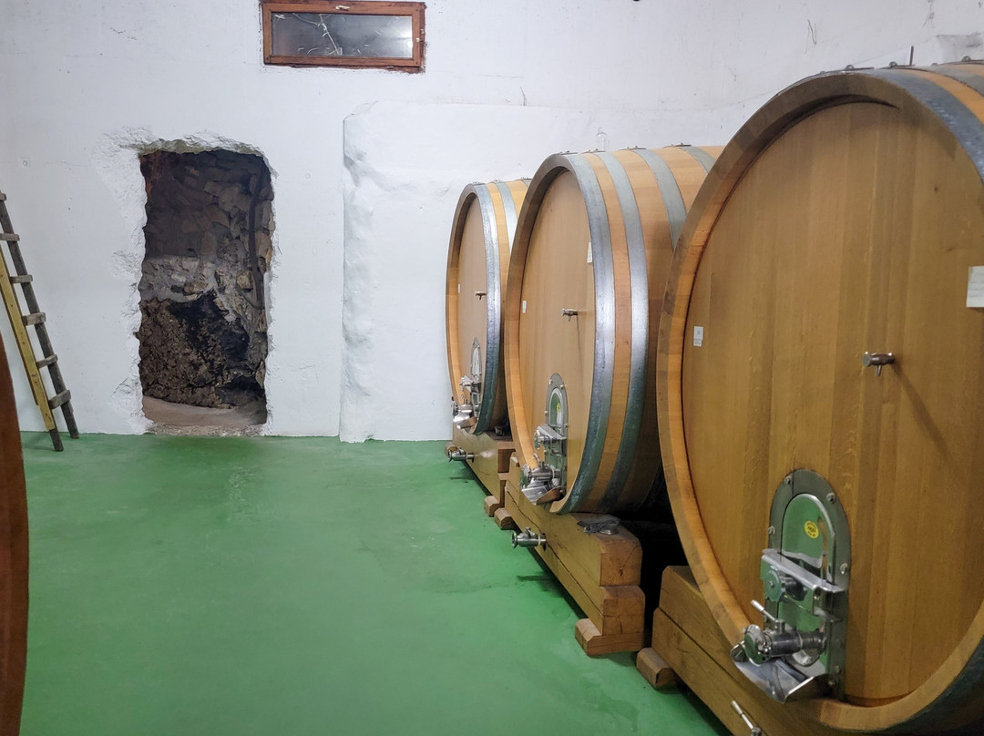 Milos Winery-斯顿必去景点