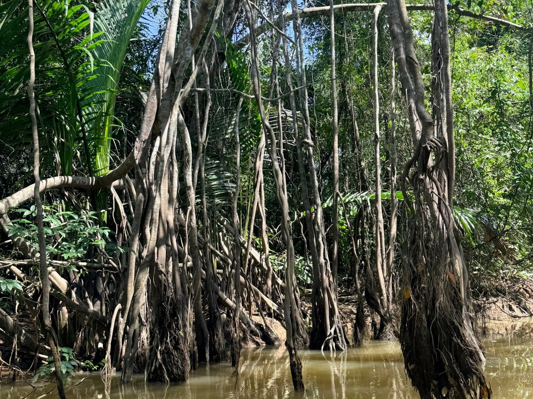 The Little Amazon-达瓜巴必去景点