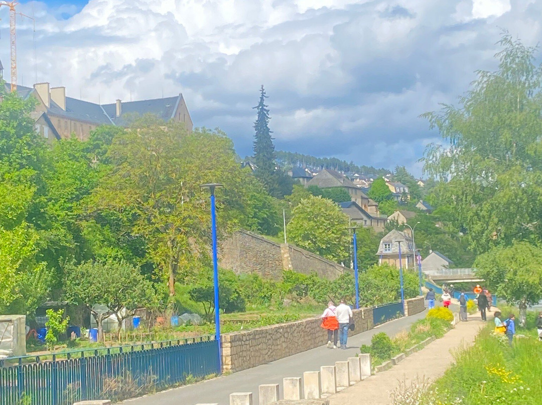 Pont Notre-Dame-芒德必去景点