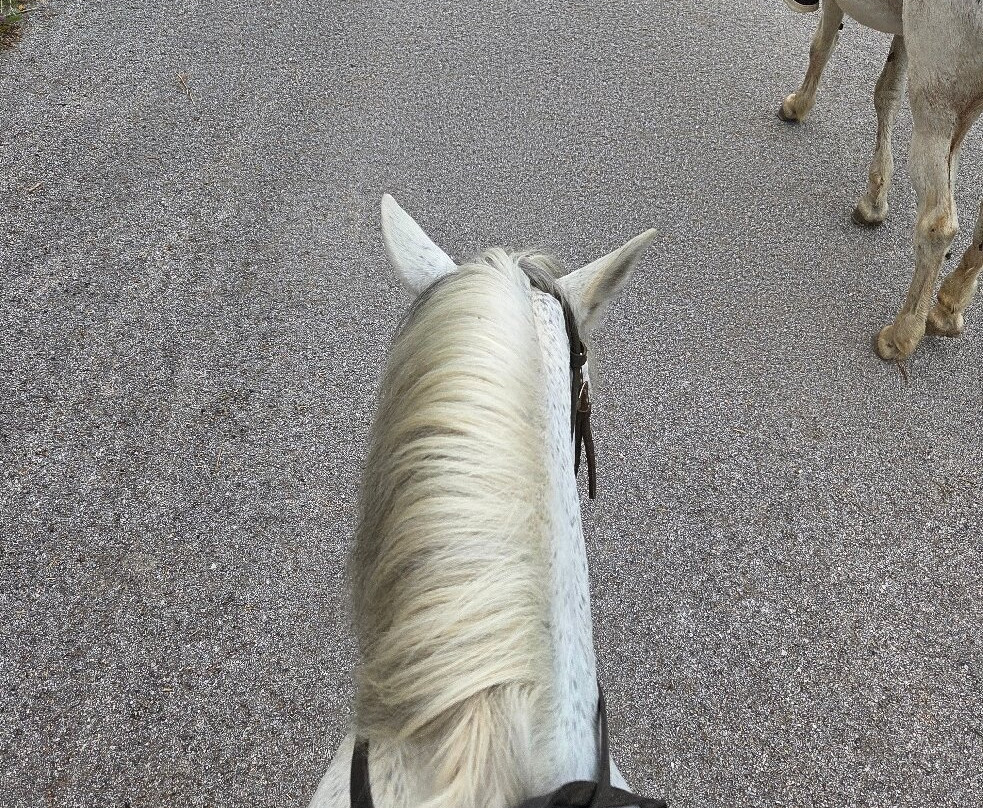 Horseriding Georgoupolis/ Grillo's Stable-Georgioupolis必去景点