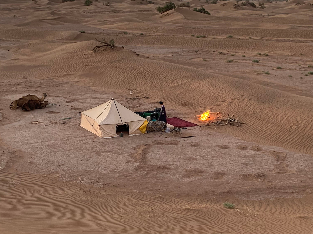 Loud Sahara Day Tours-扎古拉必去景点