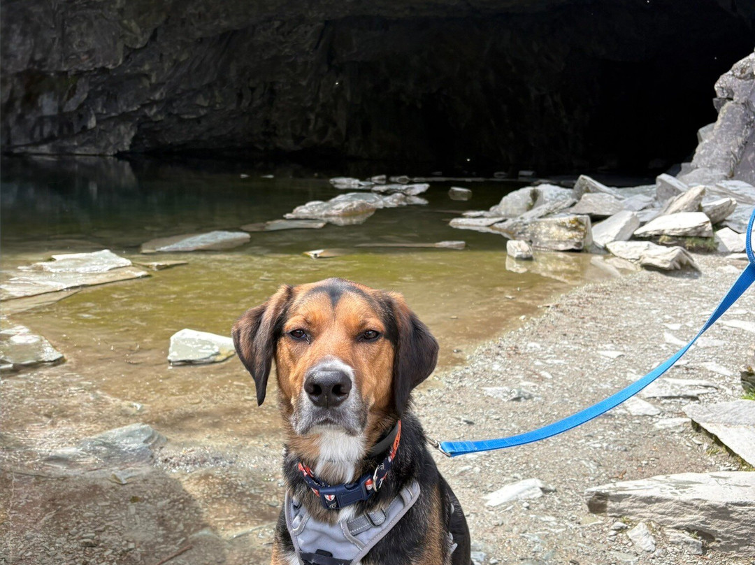 Rydal Cave-Rydal必去景点