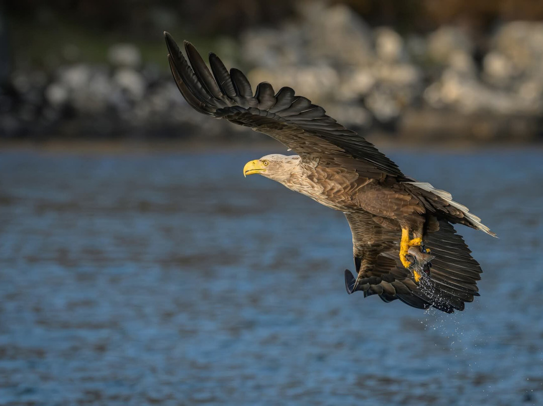 Lady Anne Wildlife Cruises-Grimsay必去景点