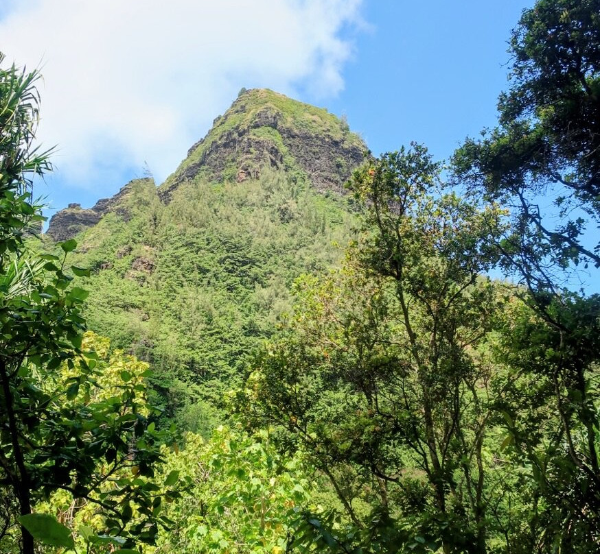 Limahuli Garden and Preserve-哈纳雷伊必去景点