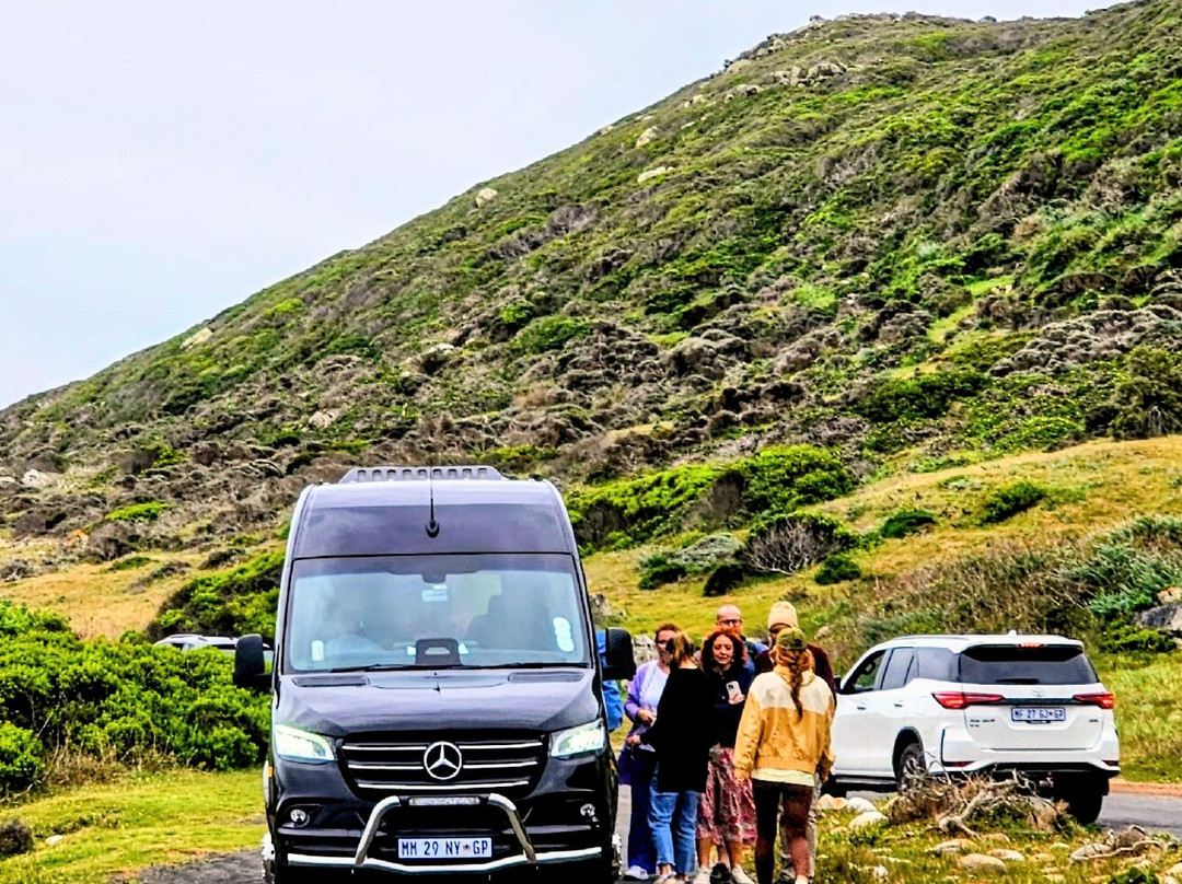 Cape Point-桌山国家公园必去景点