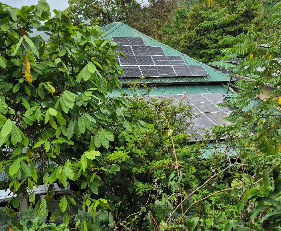 Hadco Experiences At Asa Wright Nature Centre-特立尼达必去景点