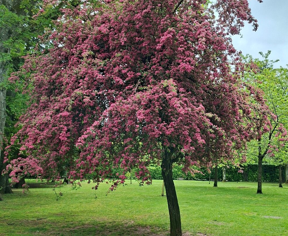 Antrim Castle Gardens-Antrim必去景点
