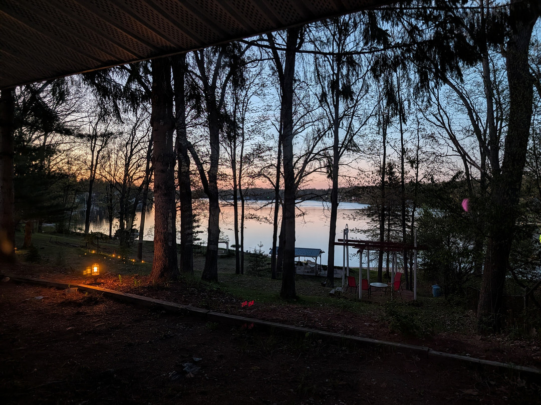 Lakeside Motel & Cottages主图