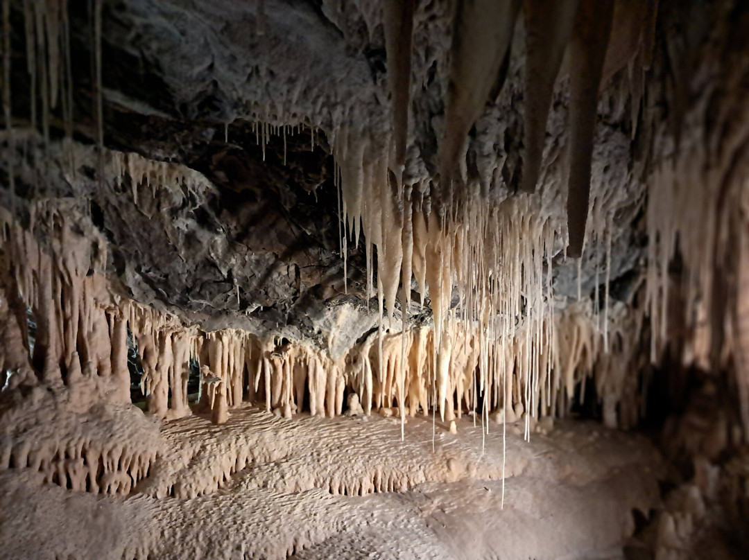Marakoopa Cave-茉莉溪必去景点