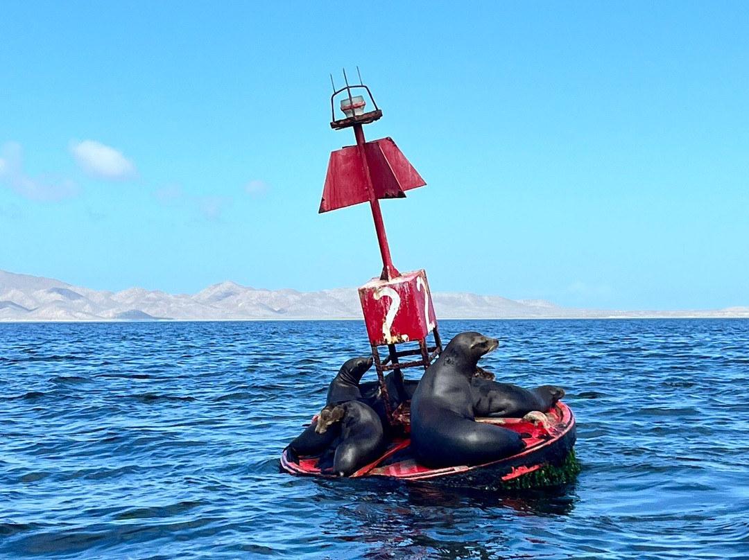 Sunrise Adventure In Magbay-Puerto San Carlos必去景点