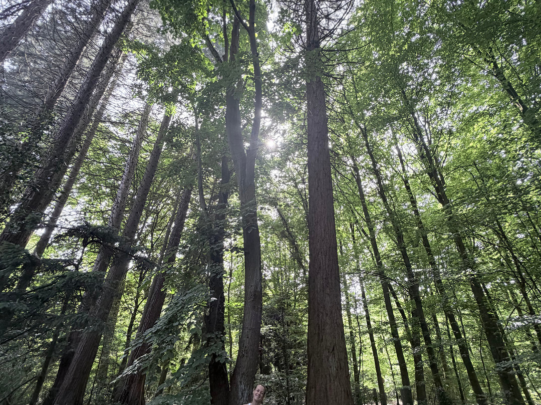 Sequoiafarm-Nettetal必去景点