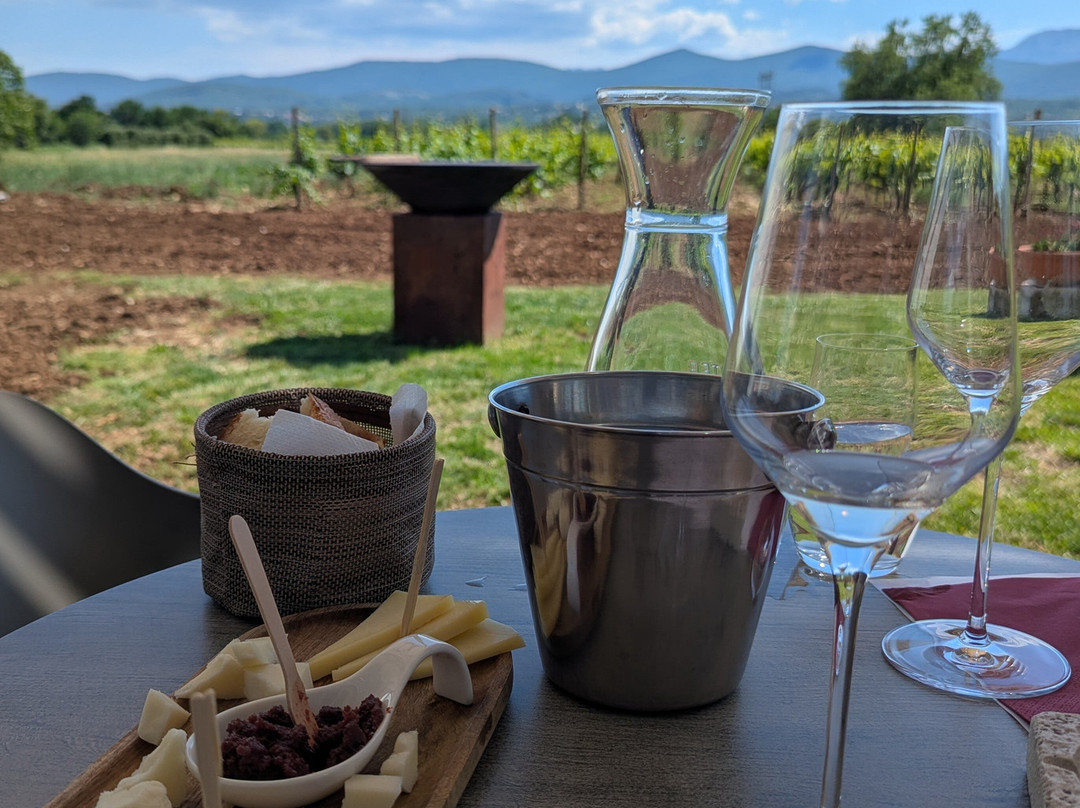 Grabovac Winery-Donji Prolozac必去景点