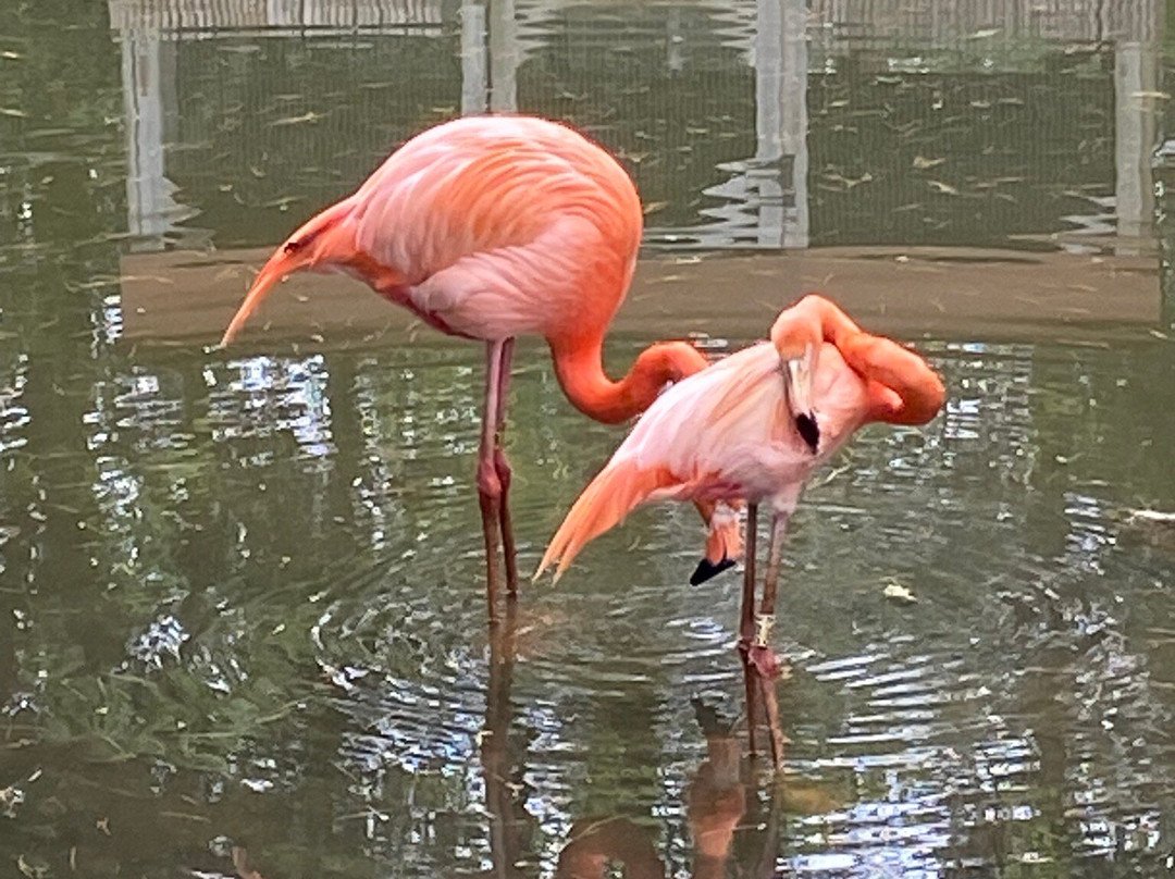 Parc Safari-Hemmingford必去景点