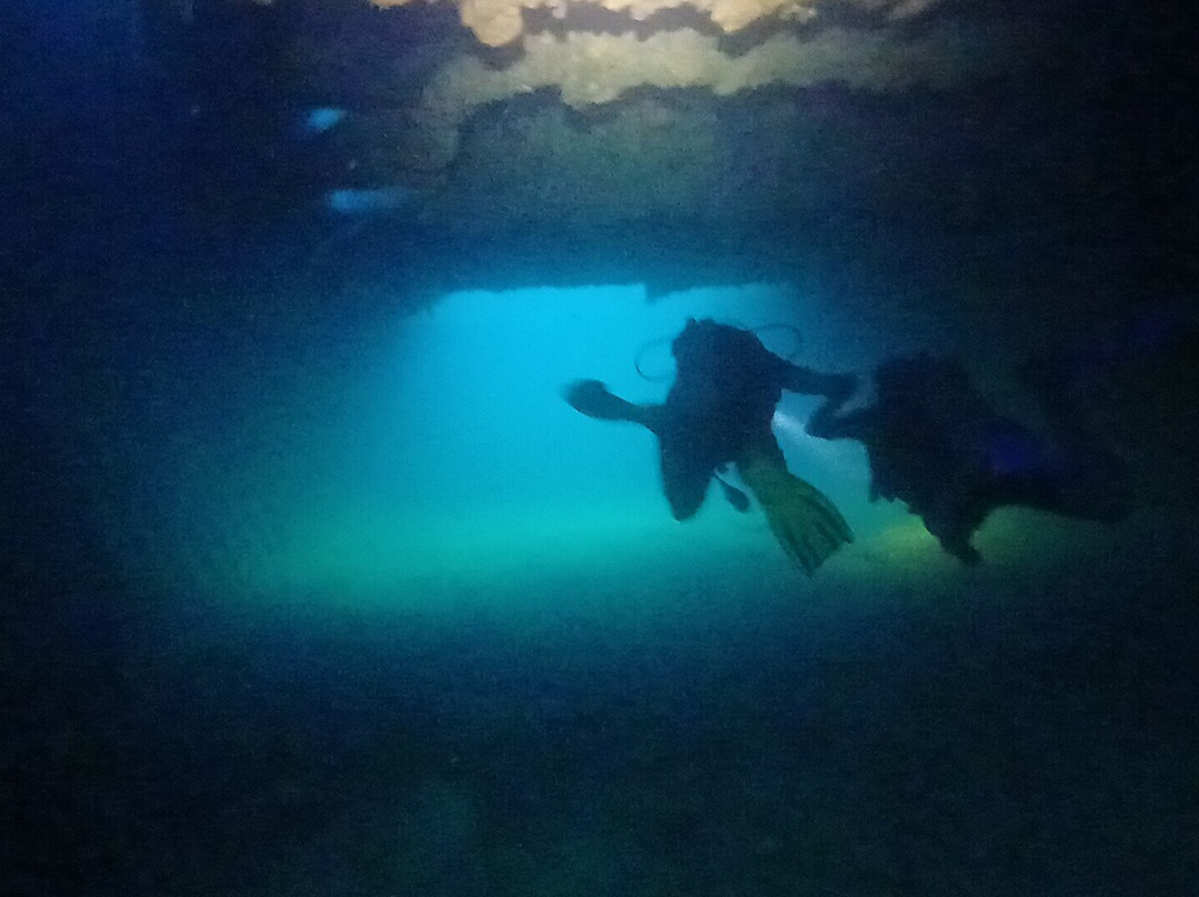 Undersea Tobago Ltd-克朗波因特必去景点