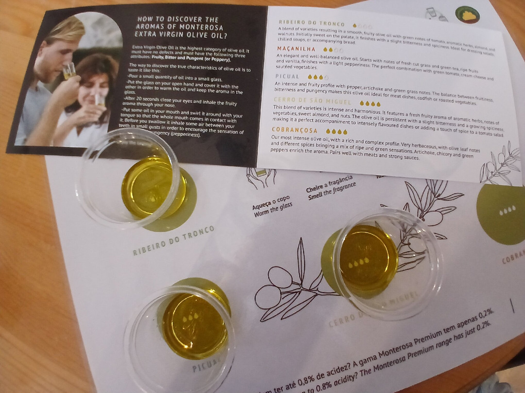 Monterosa Olive Oil Farm-Moncarapacho必去景点