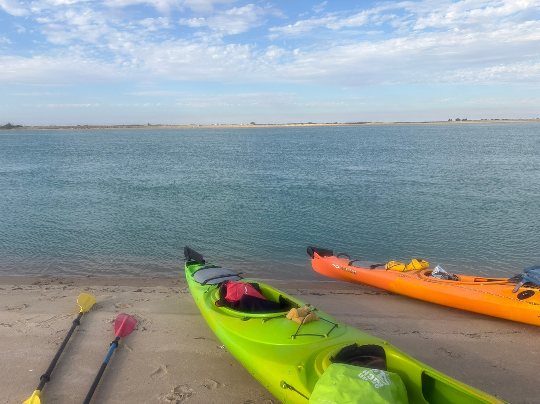 Canoe The Coorong - Day Tours-Hindmarsh Island必去景点