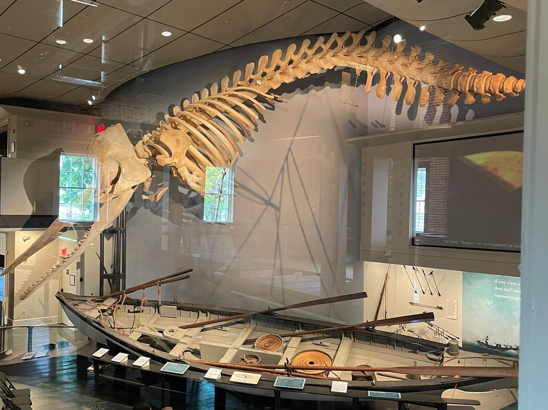 Whaling Museum-楠塔基特必去景点