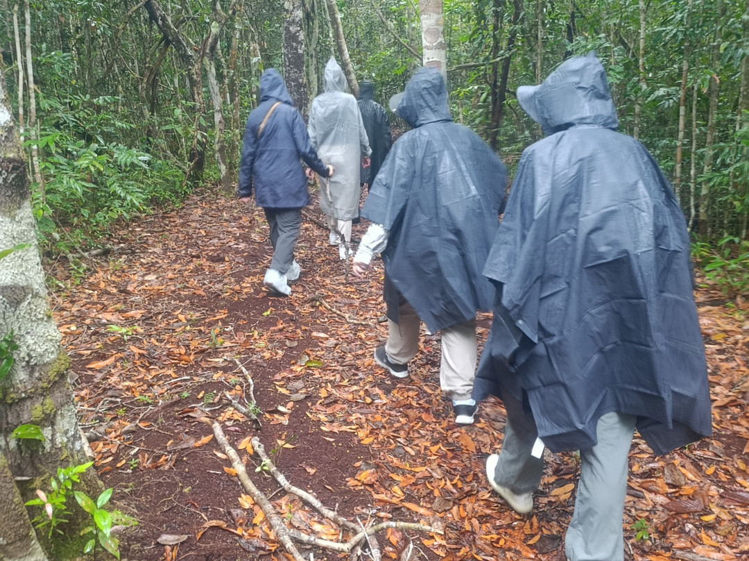Amazon Antonio Jungle Tours-玛瑙斯必去景点