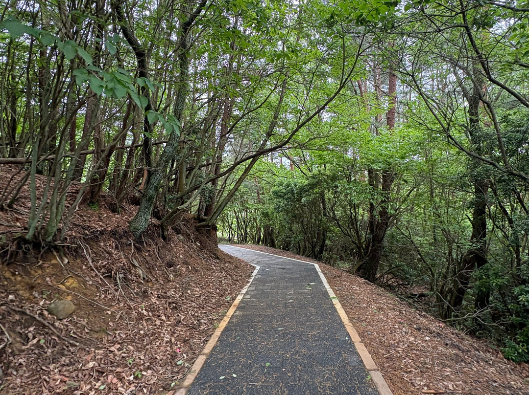 Komatsu Jigoku-九重町必去景点