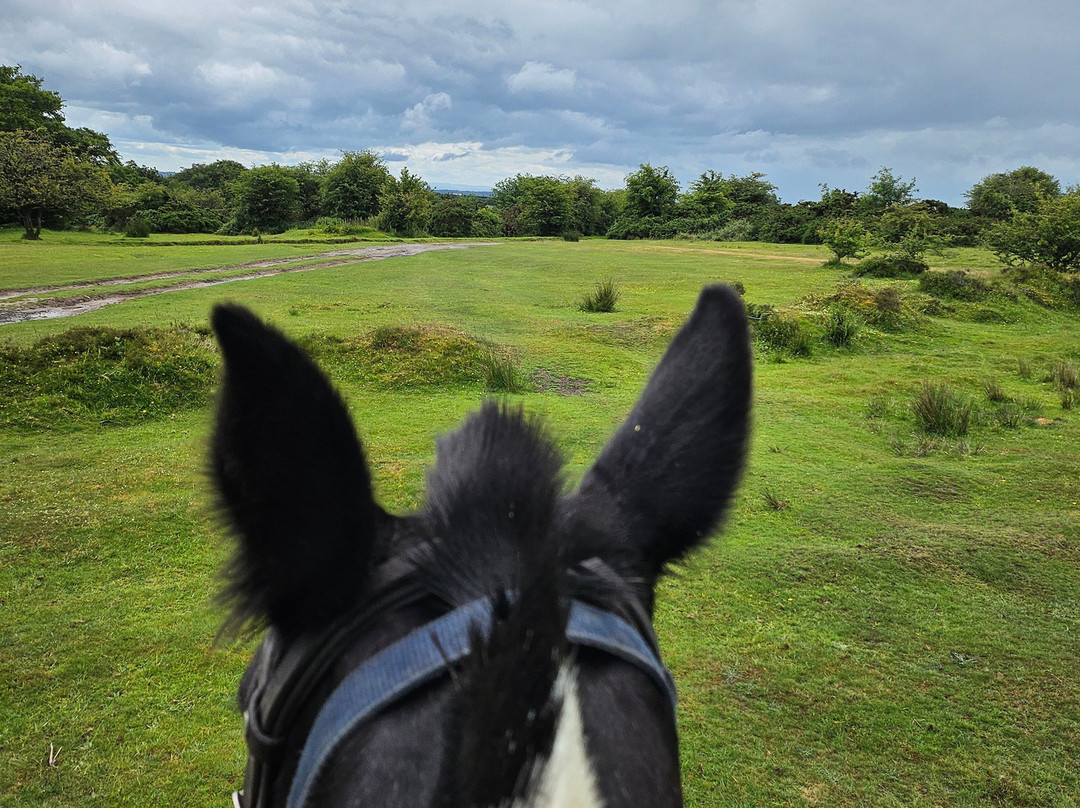 Pine Lodge Riding On Exmoor-Dulverton必去景点
