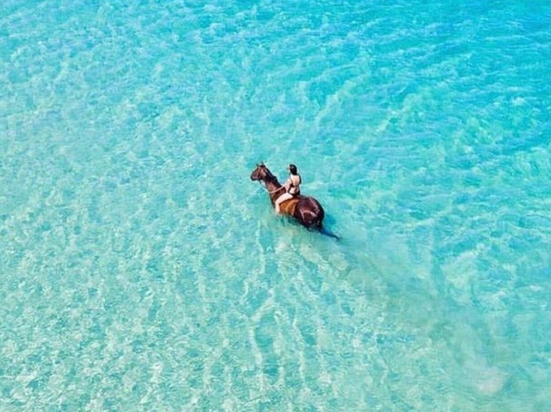 1 Hour bali horse riding & swim at the beach
