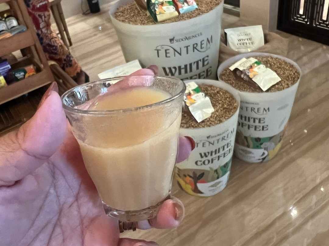 三宝垄特雷姆酒店主图