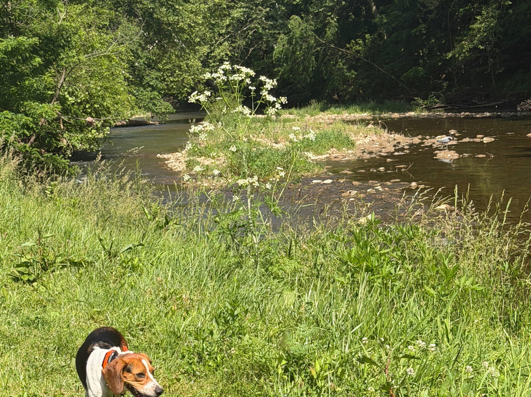 River Trail Crossing Campground