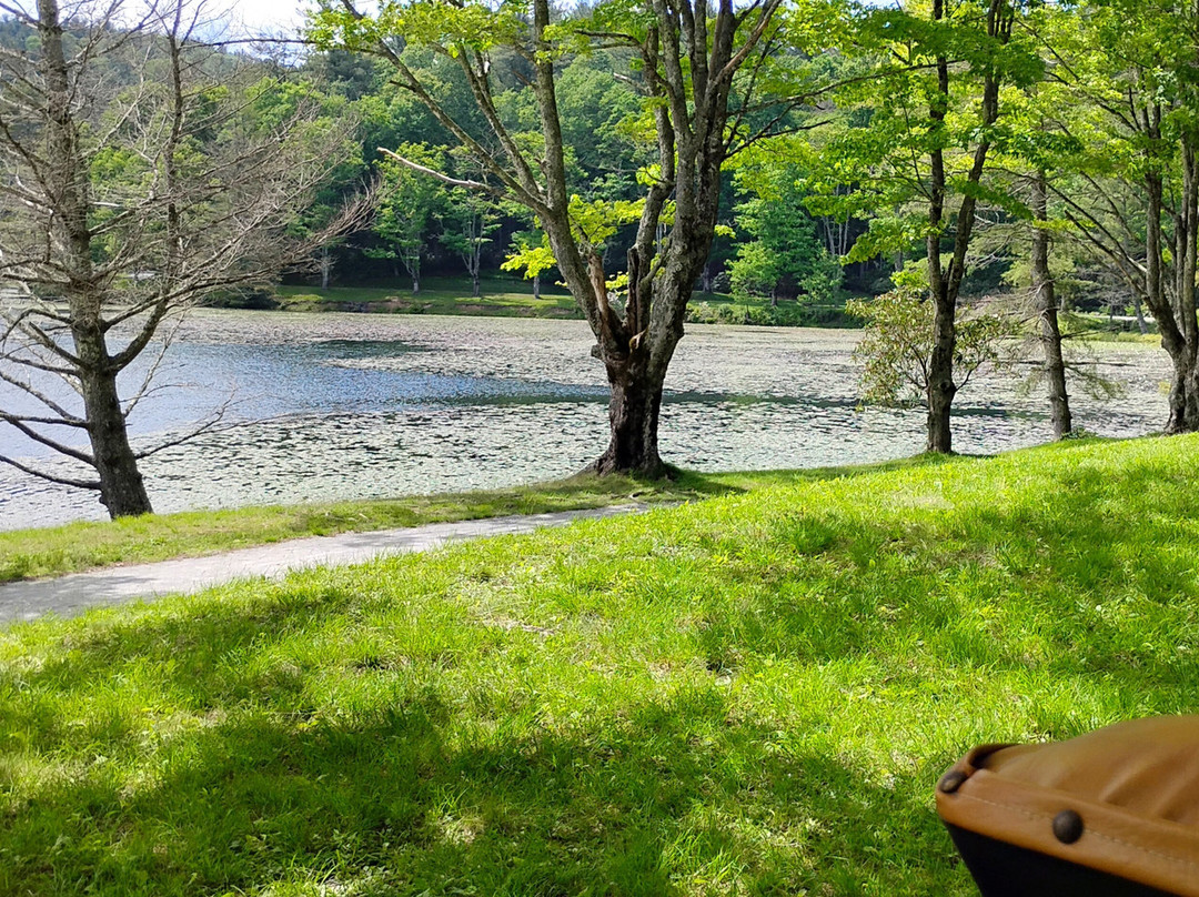 Moses H. Cone Memorial Park-布洛英罗克必去景点