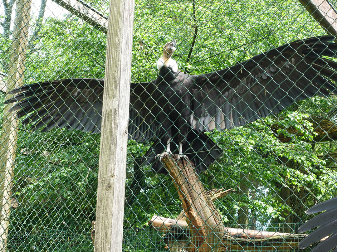 Weltvogelpark Walsrode-Walsrode必去景点
