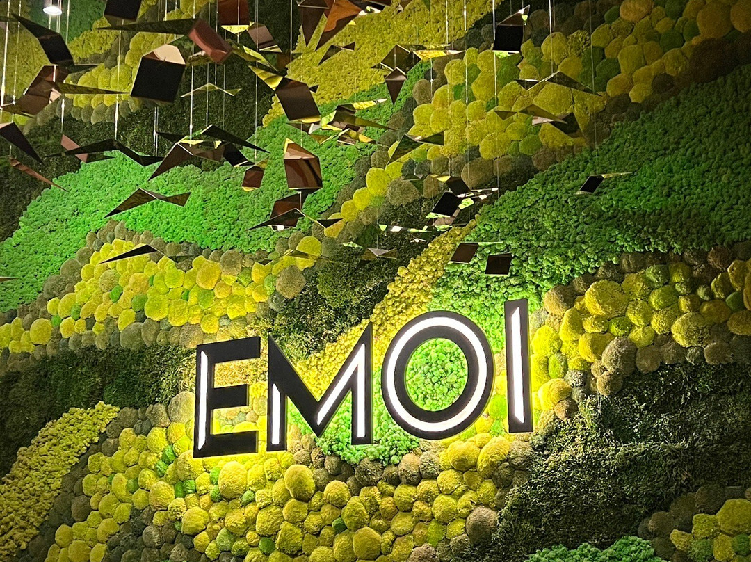 Emoi - Pravá Vietnamská Restaurace Plzeň