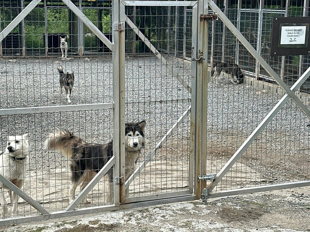 Sirdal Husky Farm-Tonstad必去景点