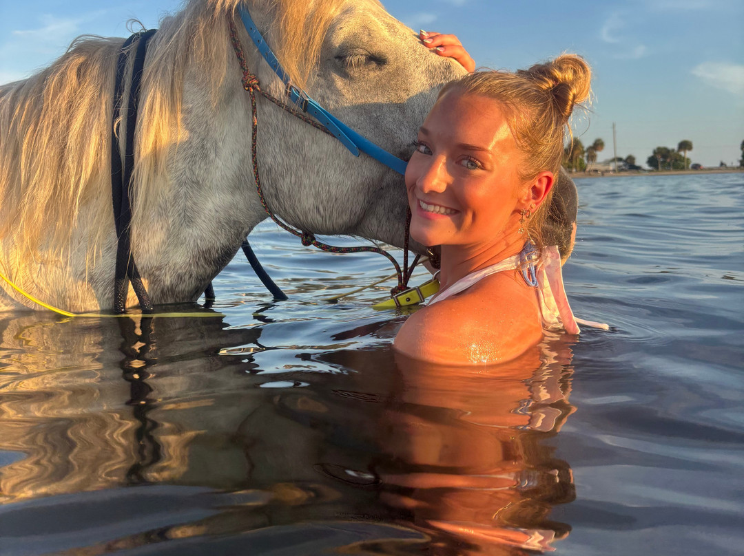 Florida Beach Horses-布雷登顿必去景点