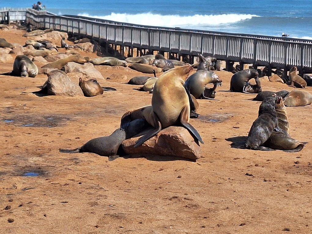 Cape Cross-Erongo Region必去景点