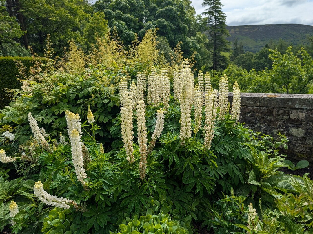 Parcevall Hall Gardens-斯基普顿必去景点