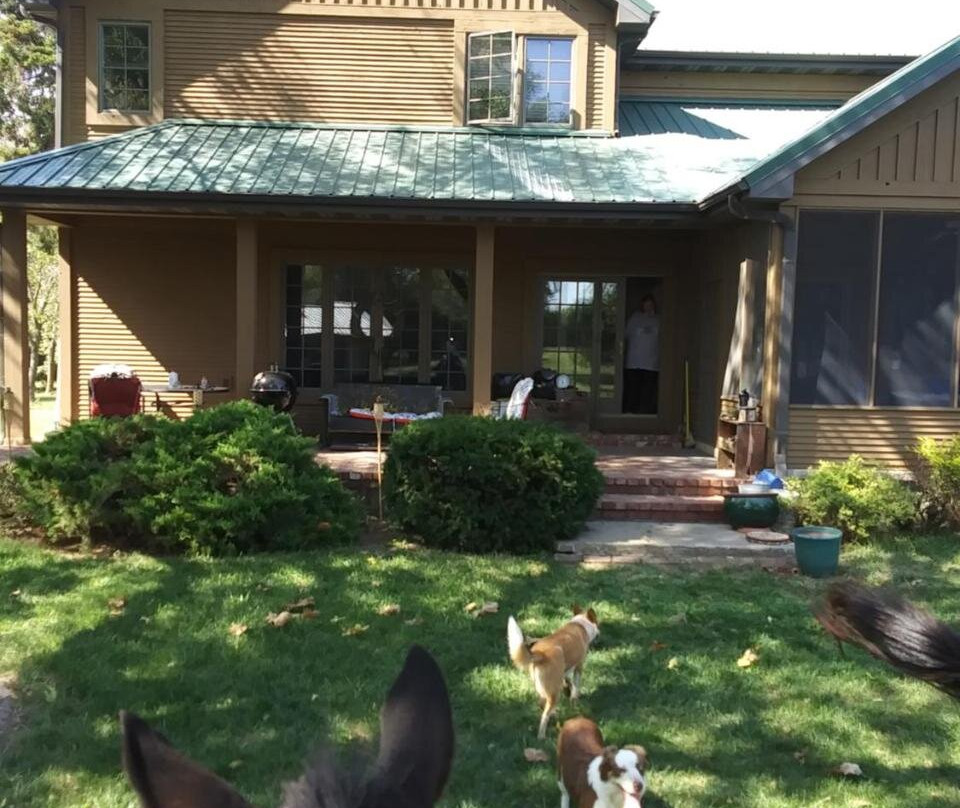 Happy Ass Farm