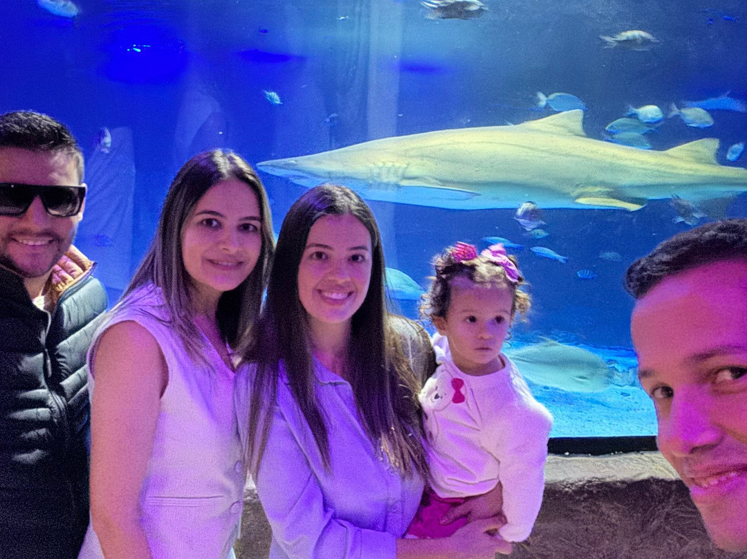 Oceanic Aquarium-康泊琉海水浴场必去景点