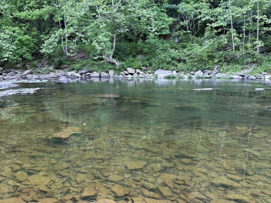 Seneca State Forest-Marlinton必去景点