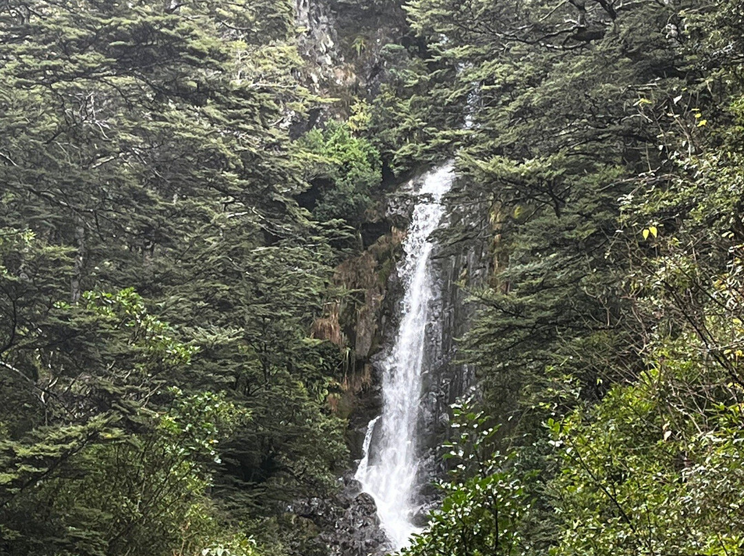 Arthur's Pass National Park Visitor Centre-亚瑟隘口国家公园必去景点