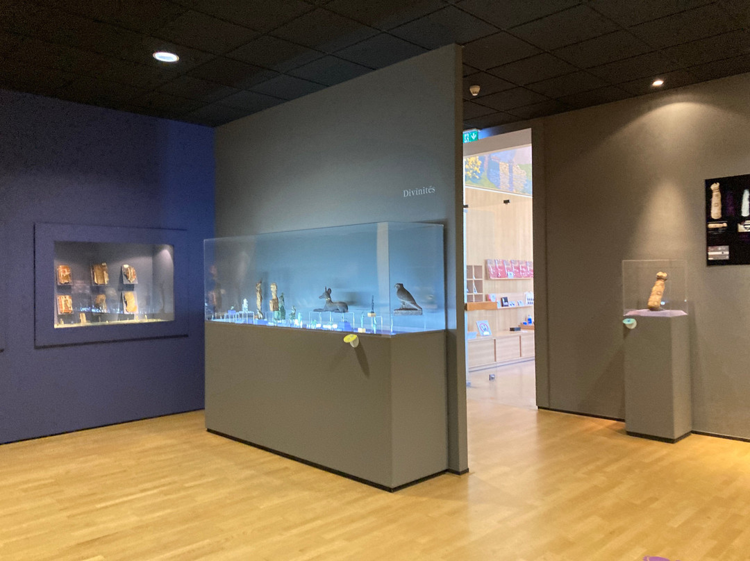 Musée des Beaux-Arts (Fine Arts Museum)-雷恩必去景点
