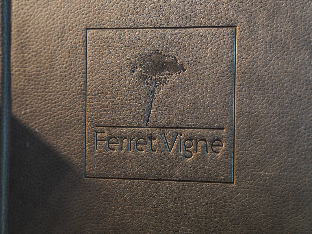 Ferret Vigne - Villa Chambres d'Hôtes主图