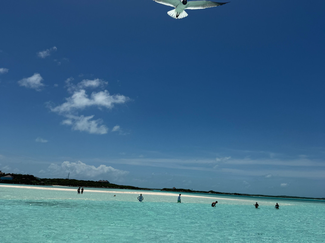 Coastline Adventures Exuma-大埃克苏马必去景点