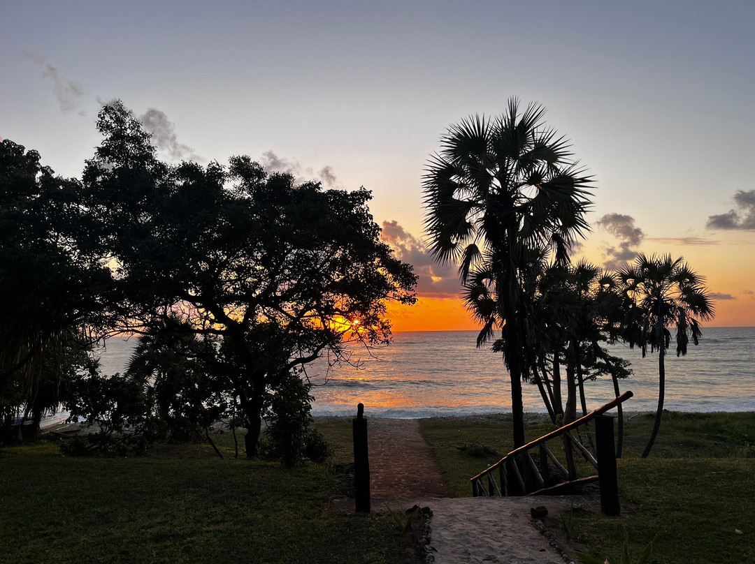 Amani Beach Resort