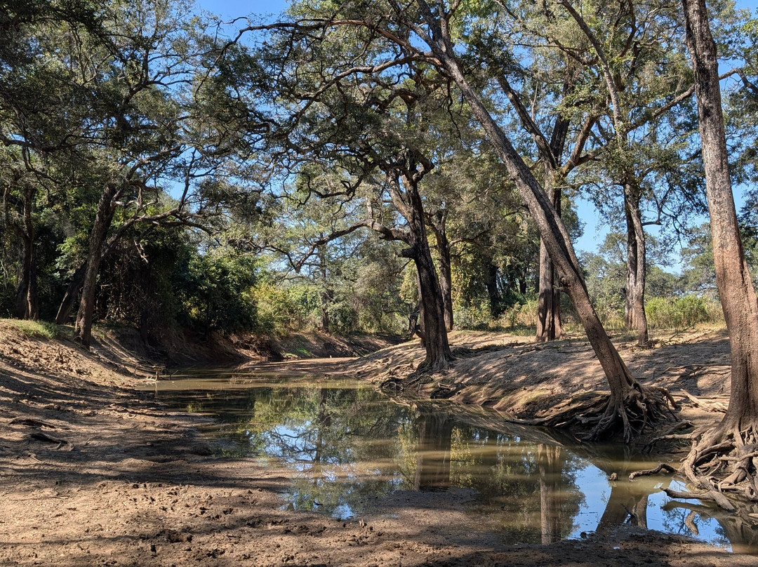 Msandile River Lodge主图